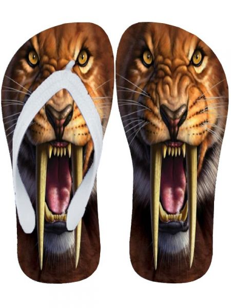 Chinelo Personalizado Tigre Dente de Sabre