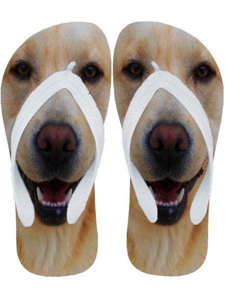 Chinelo Personalizado Labrador